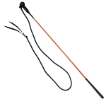 Carrot Stick York - jeździectwo naturalne