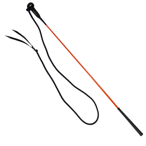 pol_pl_Carrot-Stick-York-10021_1.jpg