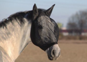 Maska przeciw owadom Anika York