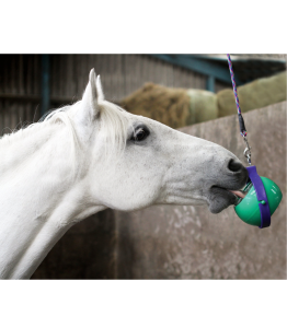 Pogromca nudy LIKIT - Bordeom Buster
