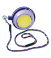 1560119_0.png