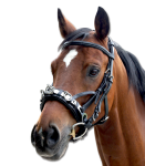 Skórzany kawecan Waldhausen