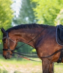 Wodze treningowe W-trainRein Waldhausen