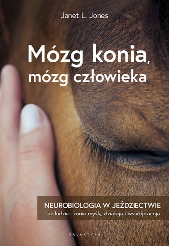 mozg-konia-mozg-czlowieka_500-piks-rgb.jpg