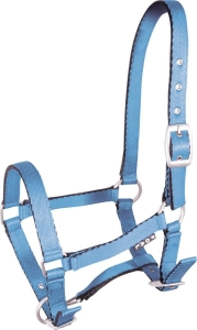 Kantar dla źrebaka Tobi  - błękitny