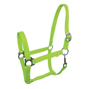 Kantar Lita YORK - zielony