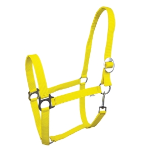 Kantar Lita YORK - żółty