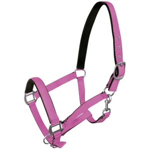 Kantar Fluo YORK - fioletowy