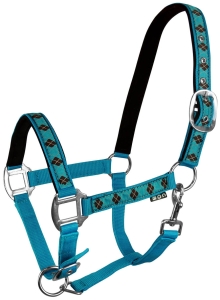 Kantar Kimi - turkusowo - brązowy