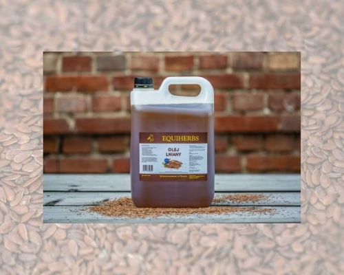 334ef7d6d9ea85ddf0491abb9b6e45dd (1).jpg