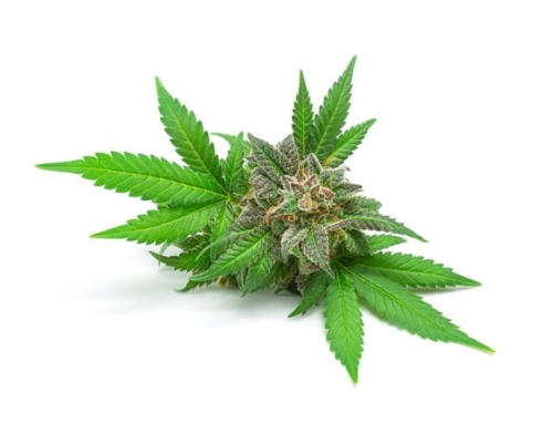 b28e6b907c624b76bd108d9b0314e311 (1).jpg