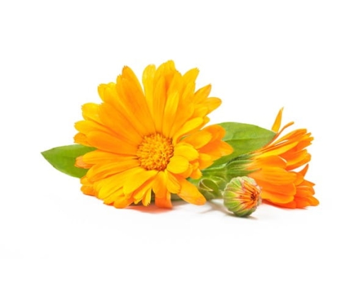 371c1bcbc745a6bbba7e681a33ccacef.jpg