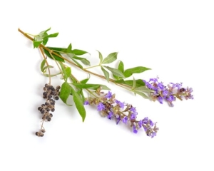 Niepokalanek pospolity mnisi pieprzowy EQUIHERBS