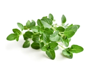 Oregano EQUIHERBS