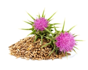 Ostropest plamisty EQUIHERBS