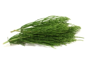 Skrzyp polny EQUIHERBS