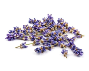 Lawenda kwiat EQUIHERBS
