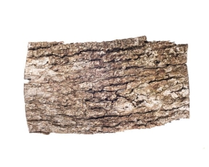 Kora dębu EQUIHERBS