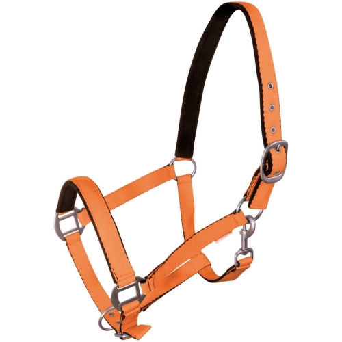 pol_pl_Kantar-York-Fluo-383_1.jpg