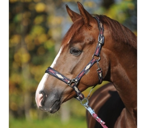 Kantar Classic Raute KAVALKADE - dark blue