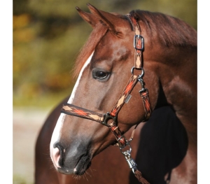 Kantar Classic Raute KAVALKADE - brown