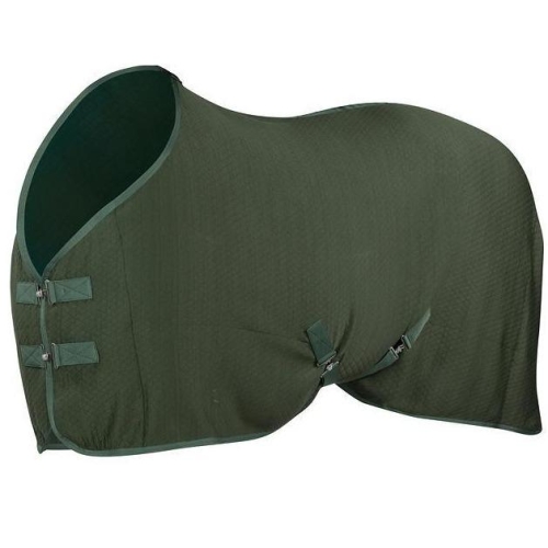 derka admiral horze.jpg