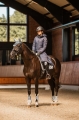 33649_ikb_08.jpg