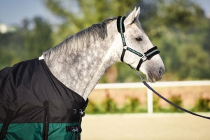 Derka padokowa z polarem START 0g 600d - black/dark green