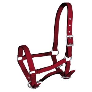 Kantar dla źrebaka Tobi - koralowy