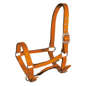 Kantar dla źrebaka Tobi - pomarańczowy