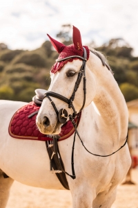 Nauszniki Kenya HORZE - Rhubarb Dark Red