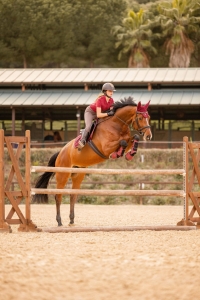 Ochraniacze Noir HORZE - Rhubarb Dark Red