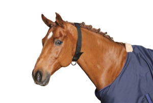 Obroża dla konia COVALLIERO