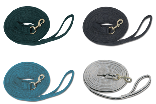 Taśma Waldhausen.png