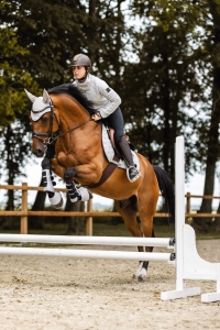 Nauszniki Smoky Twilight HORZE - Quiet Grey