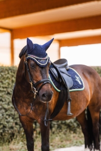 Nauszniki Magic Carousel  HORZE  - Green Blue Slate