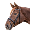 8142601-PON_8_1920x1920.png