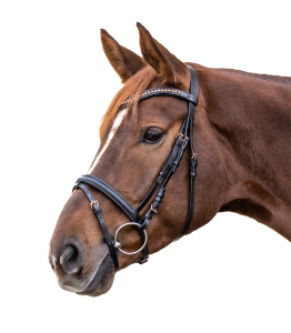 Ogłowie Rosemary STAR - czarny