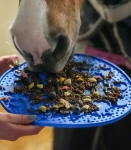 Mata dla konia LIKIT - niebieska