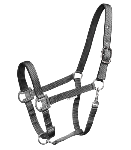5048310-PON_61.png