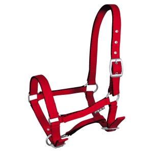 Kantar dla źrebaka Tobi  - czerwony