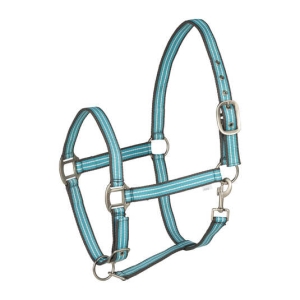 Kantar Adepto HORZE - Canal Blue