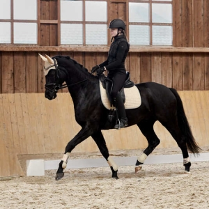 Czaprak Adepto HORZE - Safari Brown