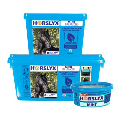 HX_Mint_650_5_15_Groupshots_MAR19_web6.png