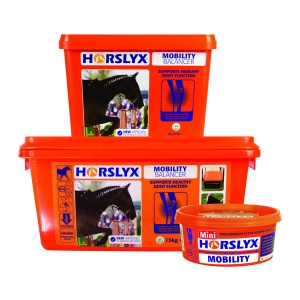 Lizawka Horslyx Mobility