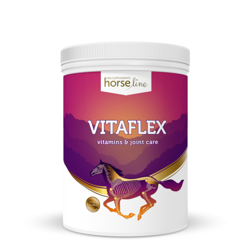 VitaFlex 2000.png