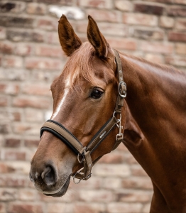 Kantar Breath  WALDHAUSEN - cappuccino