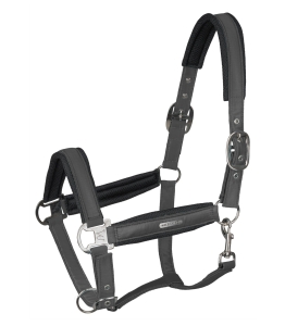 Kantar Breath  WALDHAUSEN - anthracit