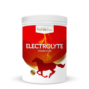 HorseLinePRO Electrolyte Power Plus - elektrolity