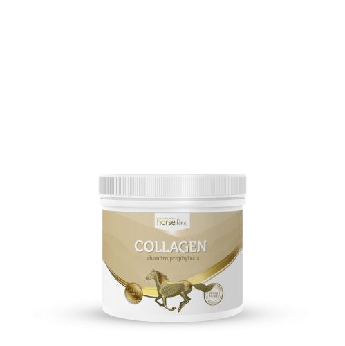 Collagen 300g.png